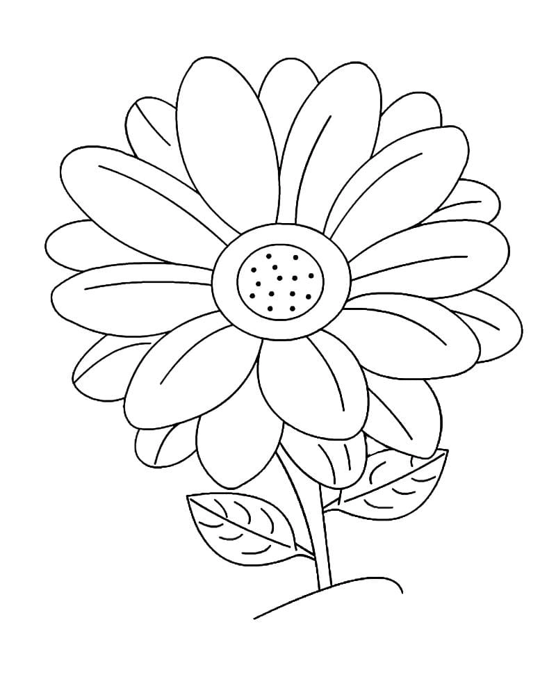 Tô màu bông hoa đơn giản bé tập nhận biết