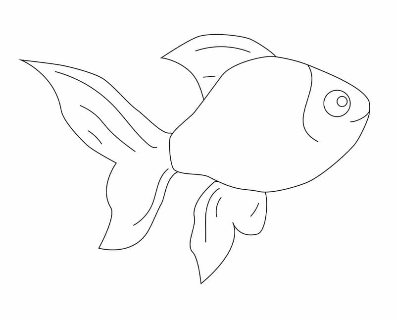 Tô màu con cá đơn giản giúp bé học biển