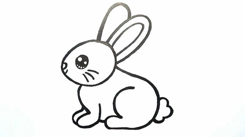 Tô màu con thỏ đơn giản bé nhận biết thú