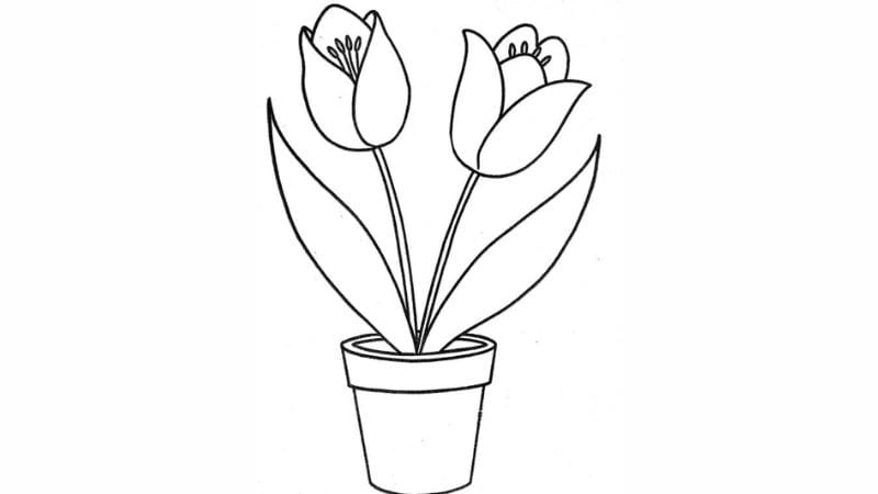 Tranh tô màu hoa tulip đơn giản siêu đáng yêu