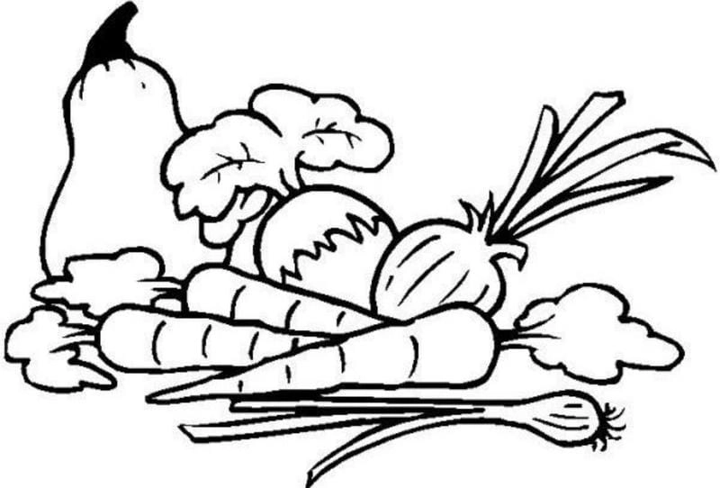 Tranh tô màu rau củ quả cho bé thỏa sức sáng tạo