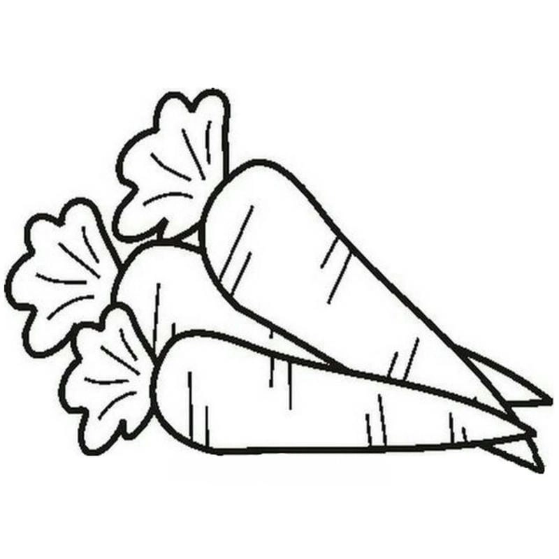 Tô màu các loại rau củ quả giúp bé học vui hơn