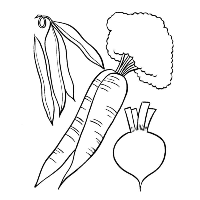 Tô màu quả cà rốt đơn giản dễ tô cho bé tập tô