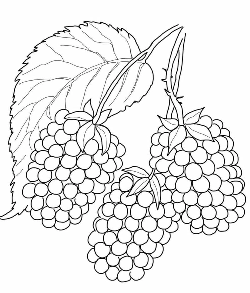 Tô màu rau củ cho bé phát triển kỹ năng tô màu