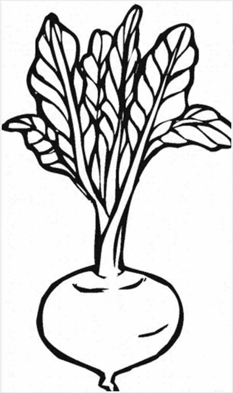 Rau củ tô màu dễ thương cho bé vui học mỗi ngày