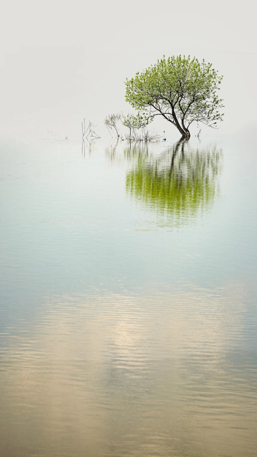 Ảnh avatar phong cảnh hoàng hôn lãng mạn