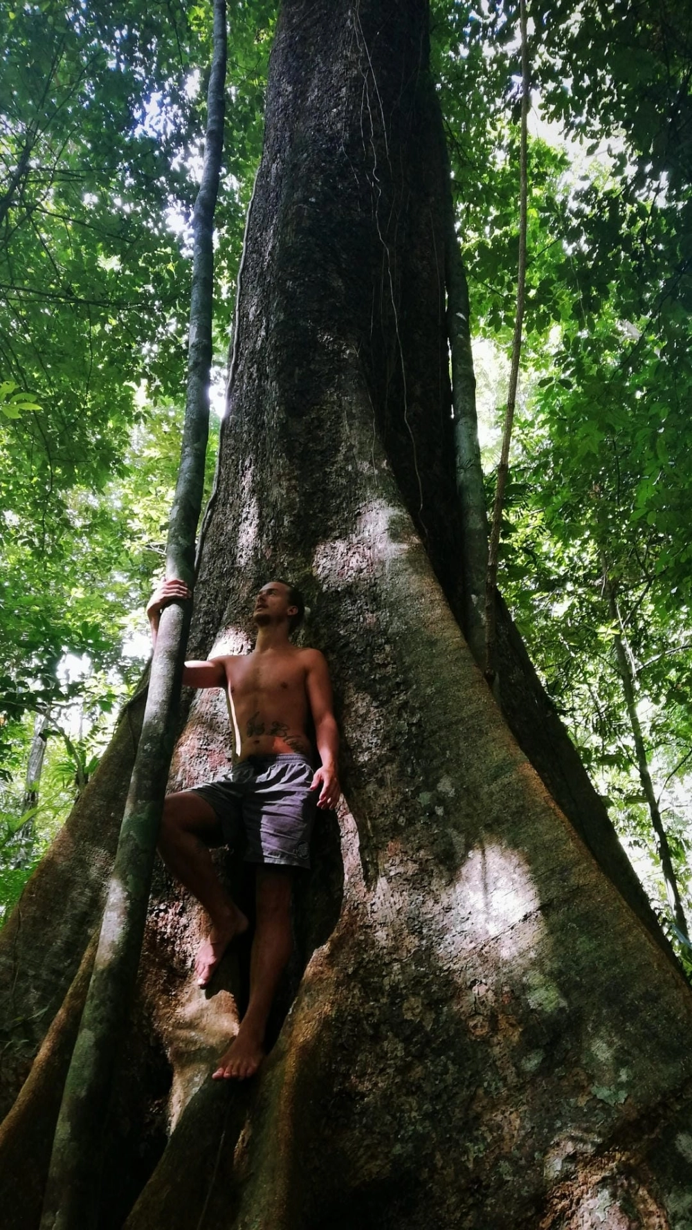 Ảnh đại diện phong cảnh bình yên