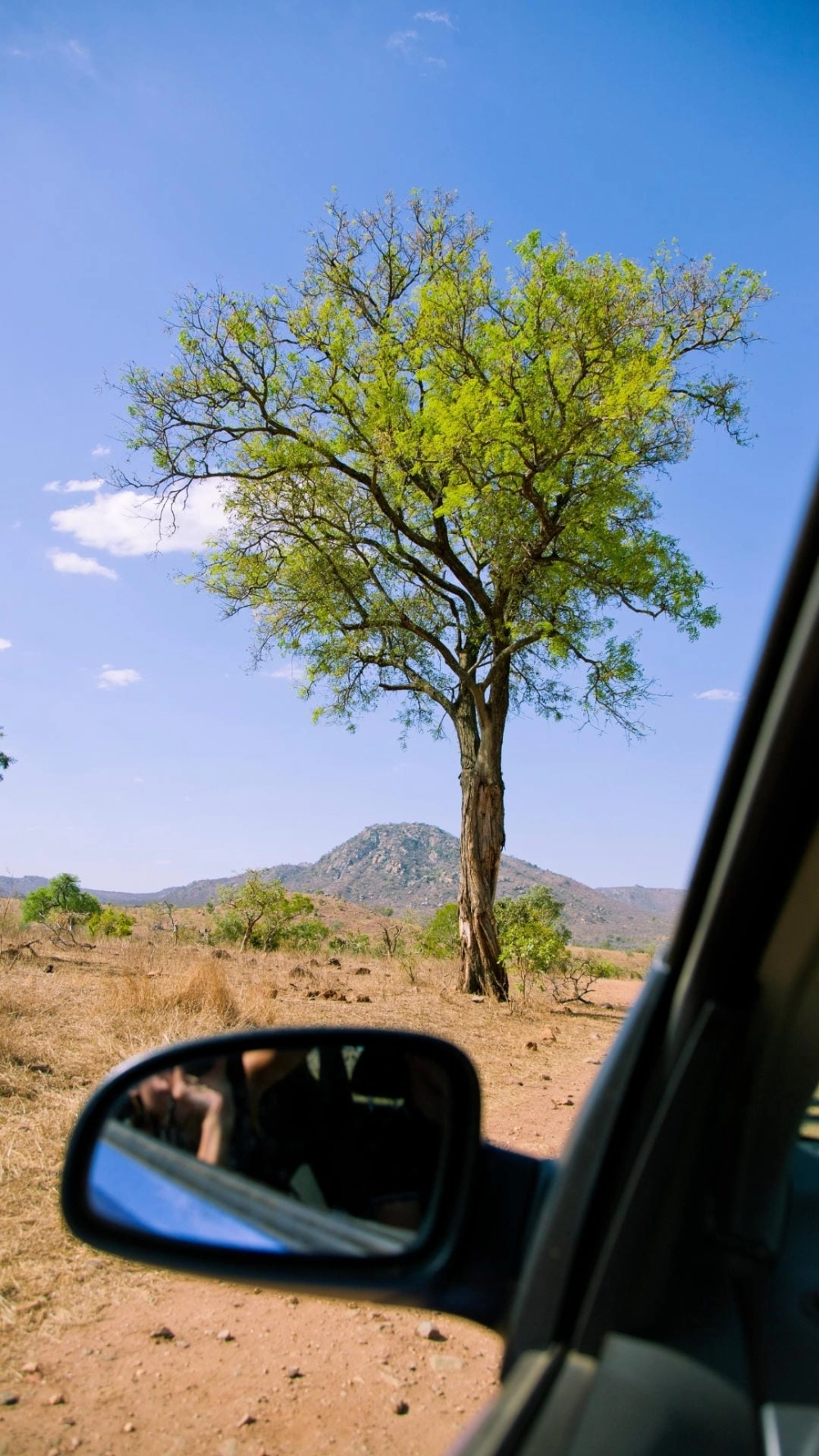 Ảnh đại diện Facebook phong cảnh