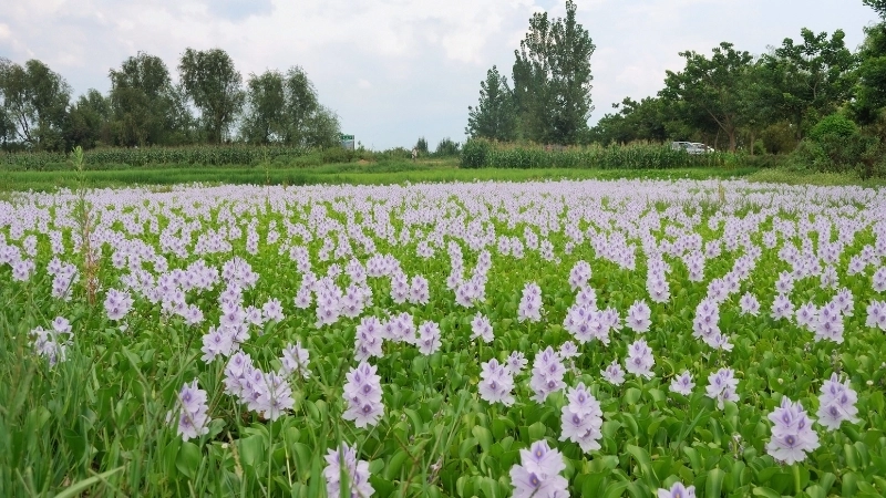 Khám phá ảnh bìa đẹp thiên nhiên