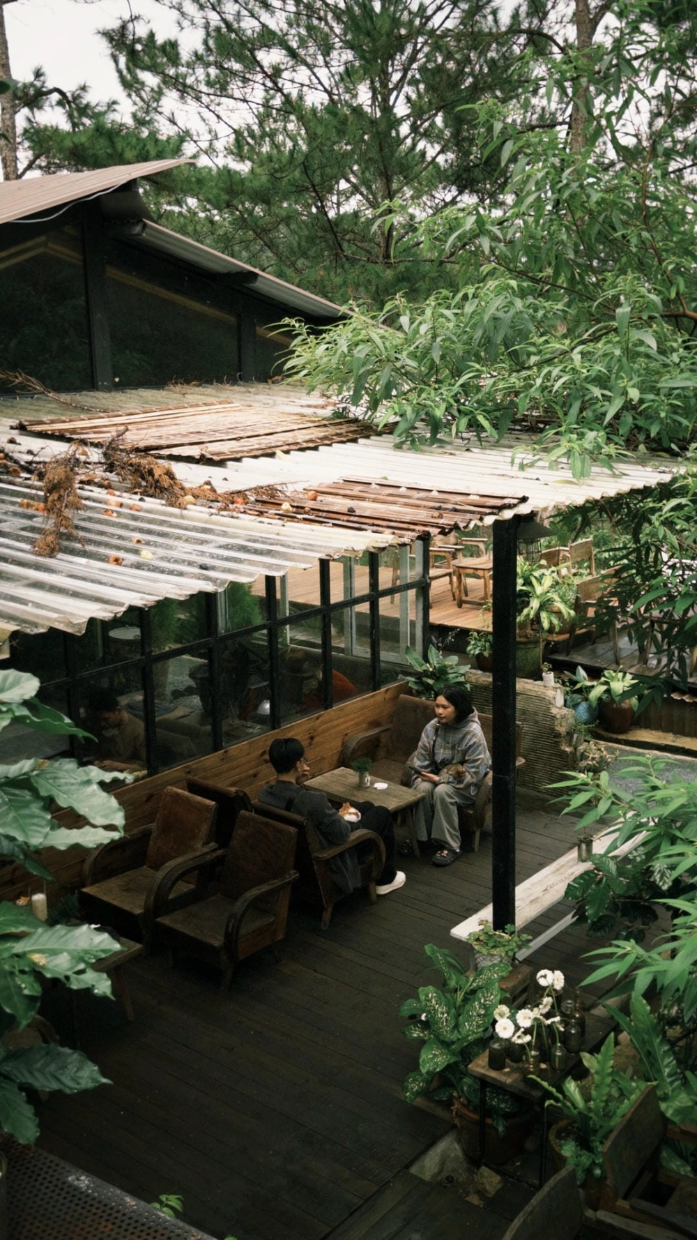 Vẻ đẹp yên bình trong từng khung hình phong cảnh Đà Lạt đẹp