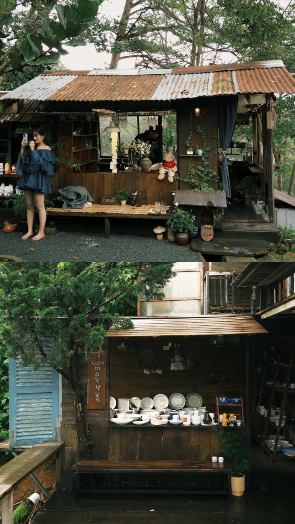 Chiêm ngưỡng hình phong cảnh Đà Lạt tại đồi chè Cầu Đất