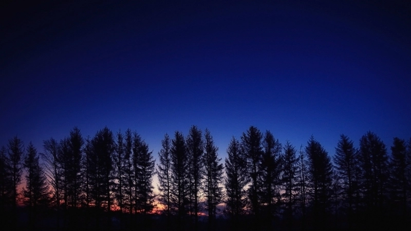 Top những tranh phong cảnh đêm đẹp nhất