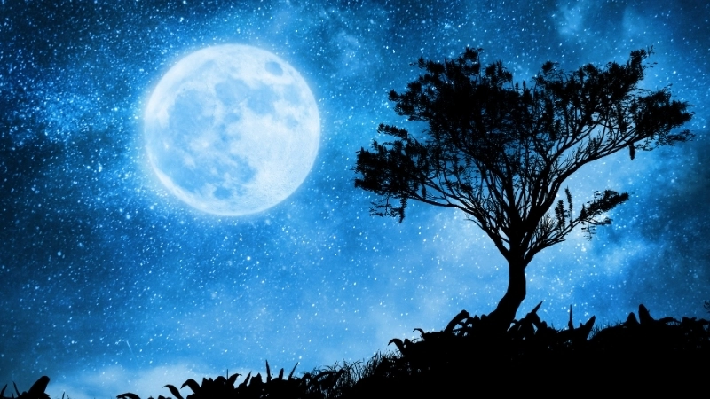 Một khung cảnh trong ảnh phong cảnh đêm buồn