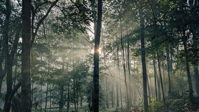 Du lịch qua màn ảnh với ảnh phong cảnh đẹp trên thế giới