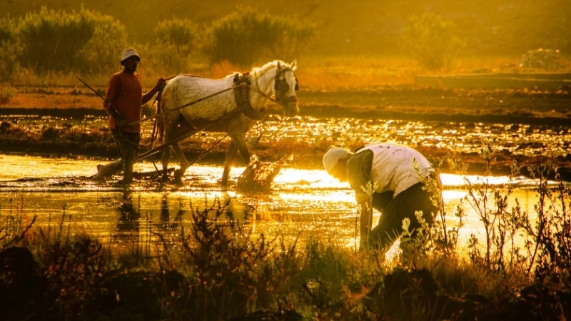 Một góc tĩnh lặng với ảnh phong cảnh đẹp và buồn