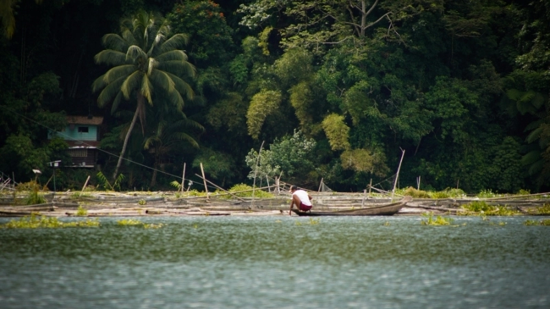 Chất lượng sắc nét của ảnh phong cảnh đẹp full hd