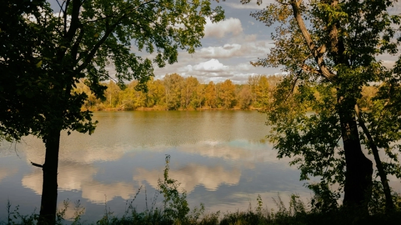 Ánh đèn lung linh trong ảnh phong cảnh đẹp thành phố