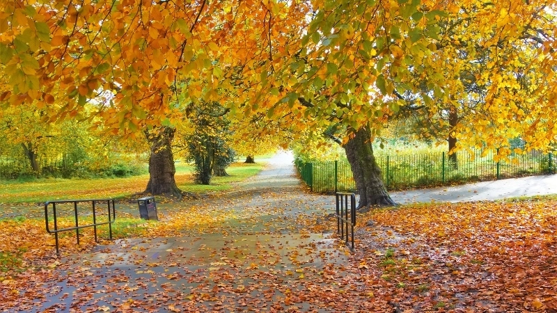 Chiêm ngưỡng vẻ đẹp của hình nền phong cảnh đẹp 4k