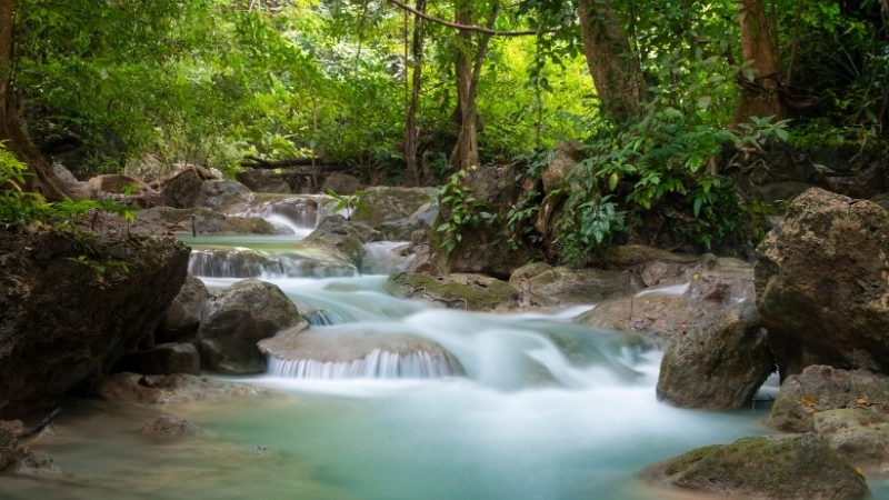 Một hình nền thiên nhiên đẹp full hd cho không gian làm việc thêm tươi mới