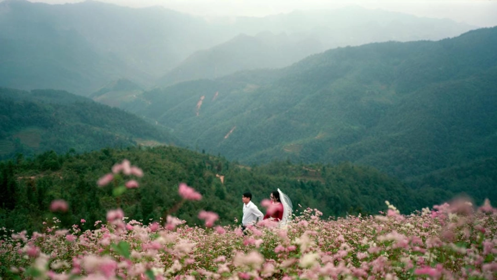 Mùa hoa tam giác mạch Hà Giang