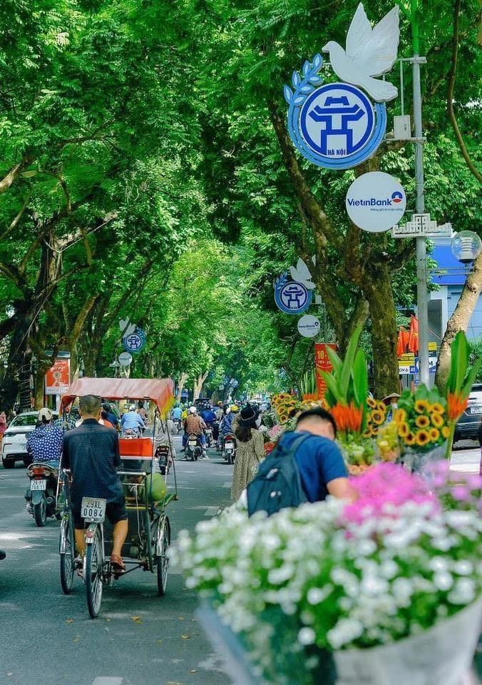 Vẻ đẹp hùng vĩ của tranh phong cảnh quê hương đất nước