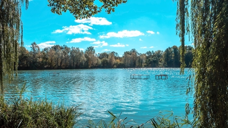 Bức tranh phong cảnh mùa hè đẹp nao lòng