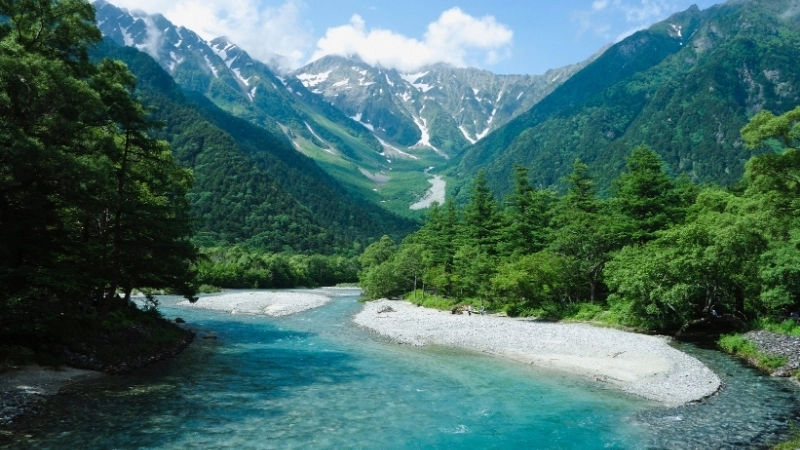 Hướng dẫn vẽ tranh phong cảnh bãi biển mùa hè