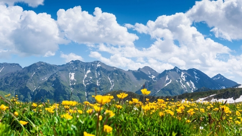 Tranh phong cảnh núi rừng treo tường cho không gian phòng khách