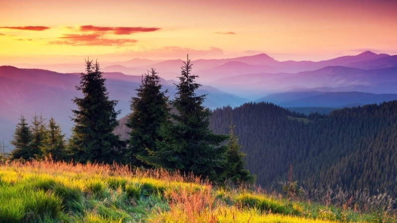 Hướng dẫn vẽ tranh phong cảnh núi từng bước đơn giản