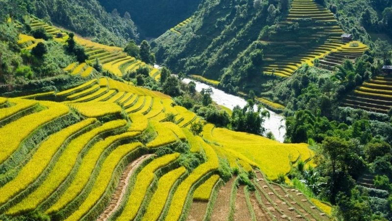 Du lịch qua màn ảnh với ảnh cảnh đẹp sapa