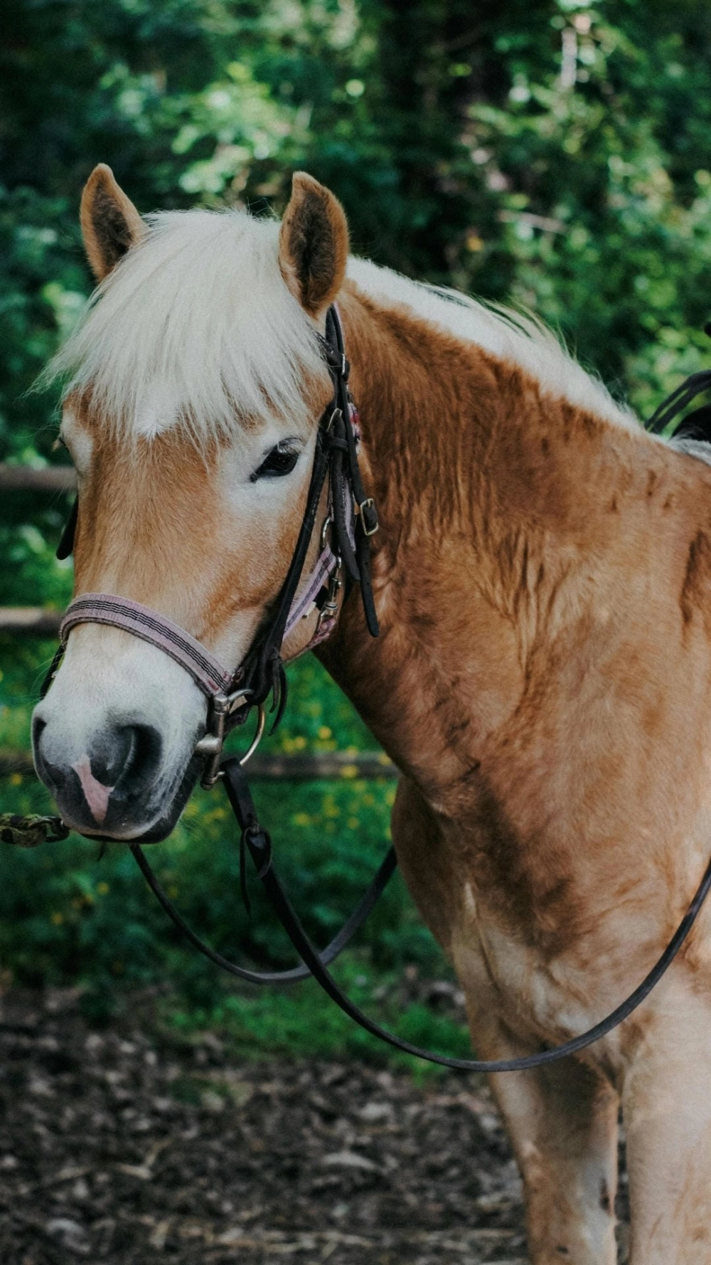 Một bức ảnh chụp phong cảnh đẹp