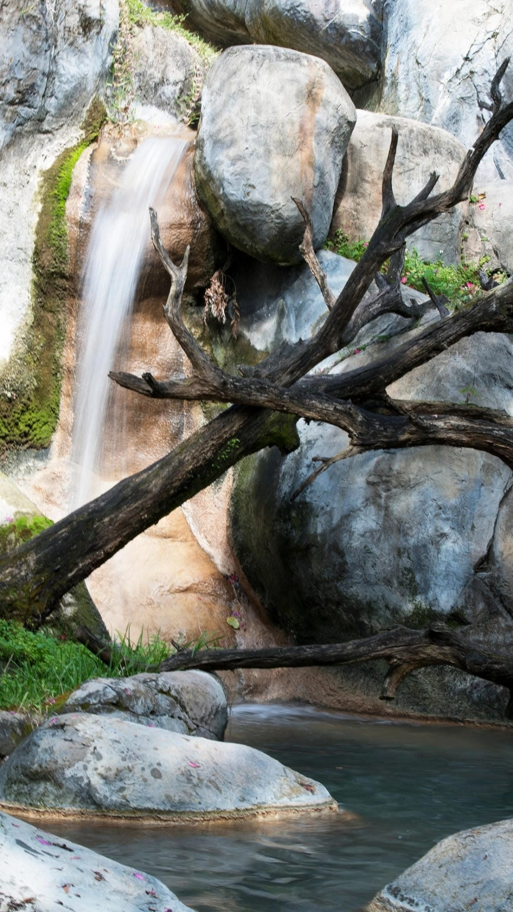 Bí quyết cách chụp ảnh với phong cảnh đẹp