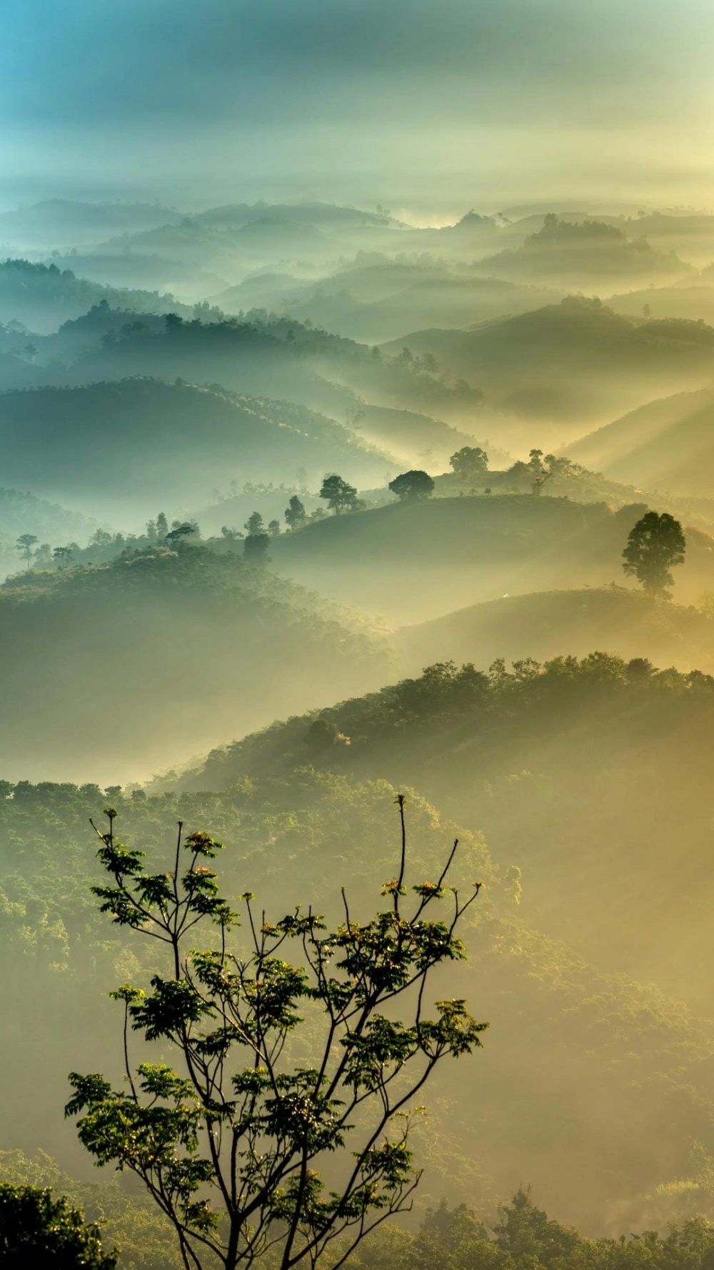 Ví dụ về chụp ảnh phong cảnh đẹp bằng điện thoại