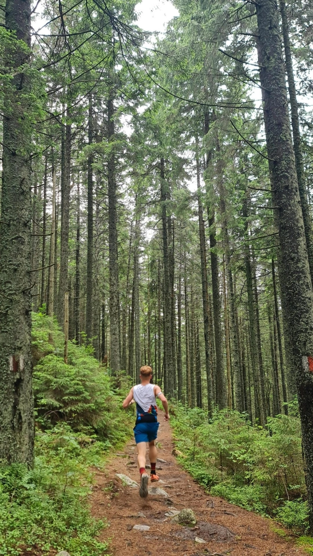 Hướng dẫn cách chụp ảnh phong cảnh