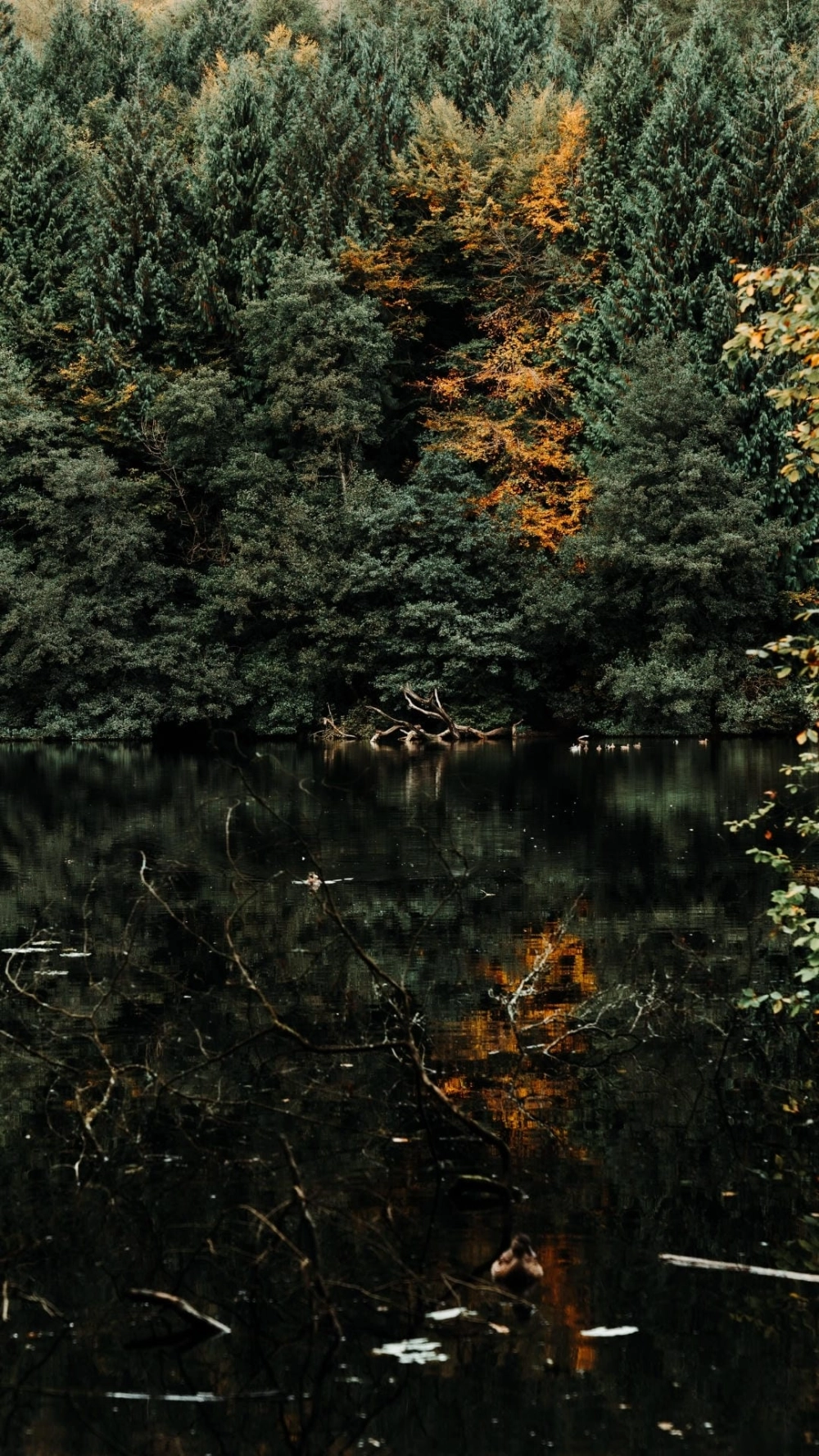 Nghệ thuật chụp hình phong cảnh