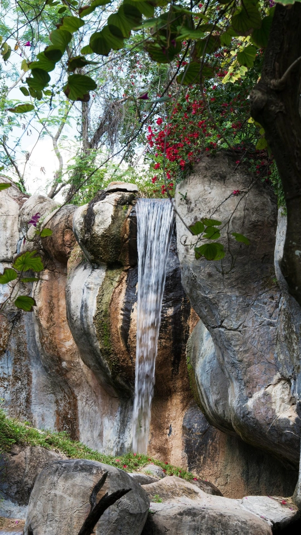 Kỹ năng chụp ảnh phong cảnh bằng điện thoại