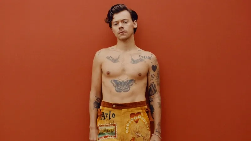 Chân dung nghệ thuật của Harry Styles
