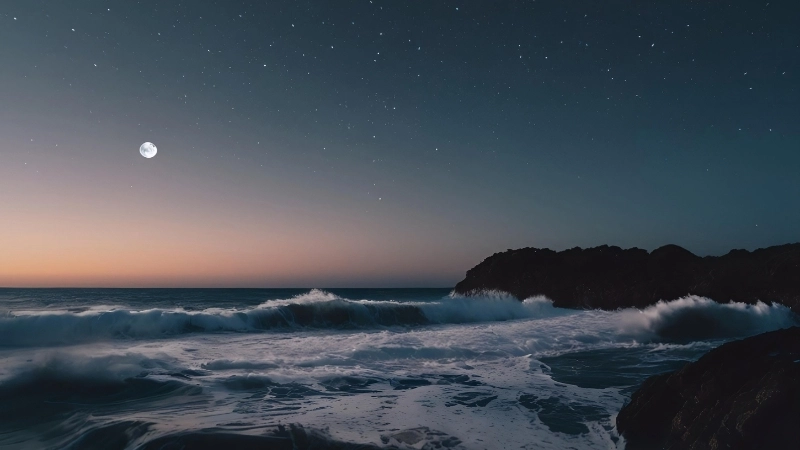 Lấp lánh với hình nền bầu trời sao đêm