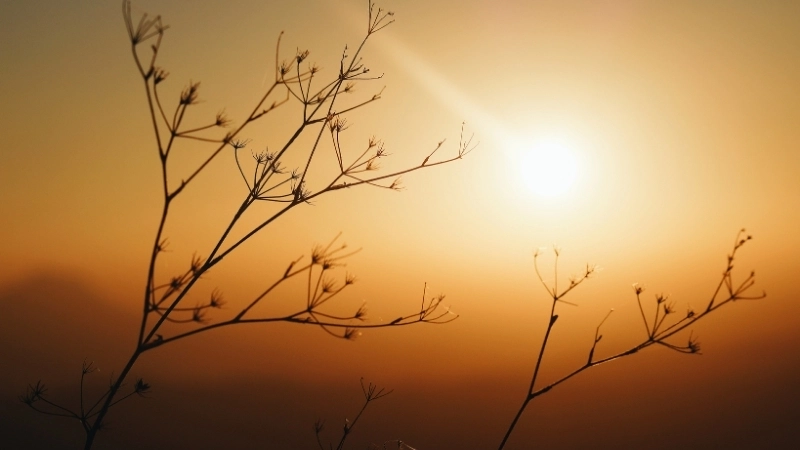 Khoảnh khắc hình nền bình minh đẹp nao lòng