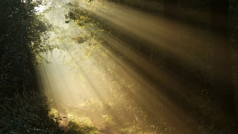 Chiêm ngưỡng bình minh 4K siêu nét