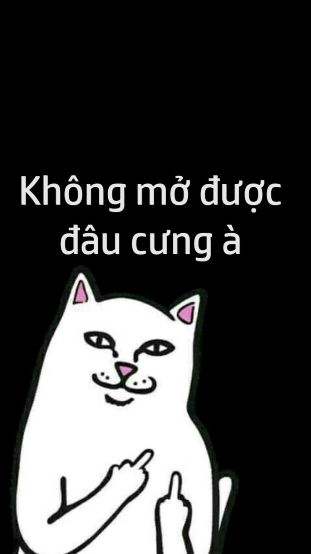 Trào lưu hình nền vô tri bỏ điện thoại tao xuống