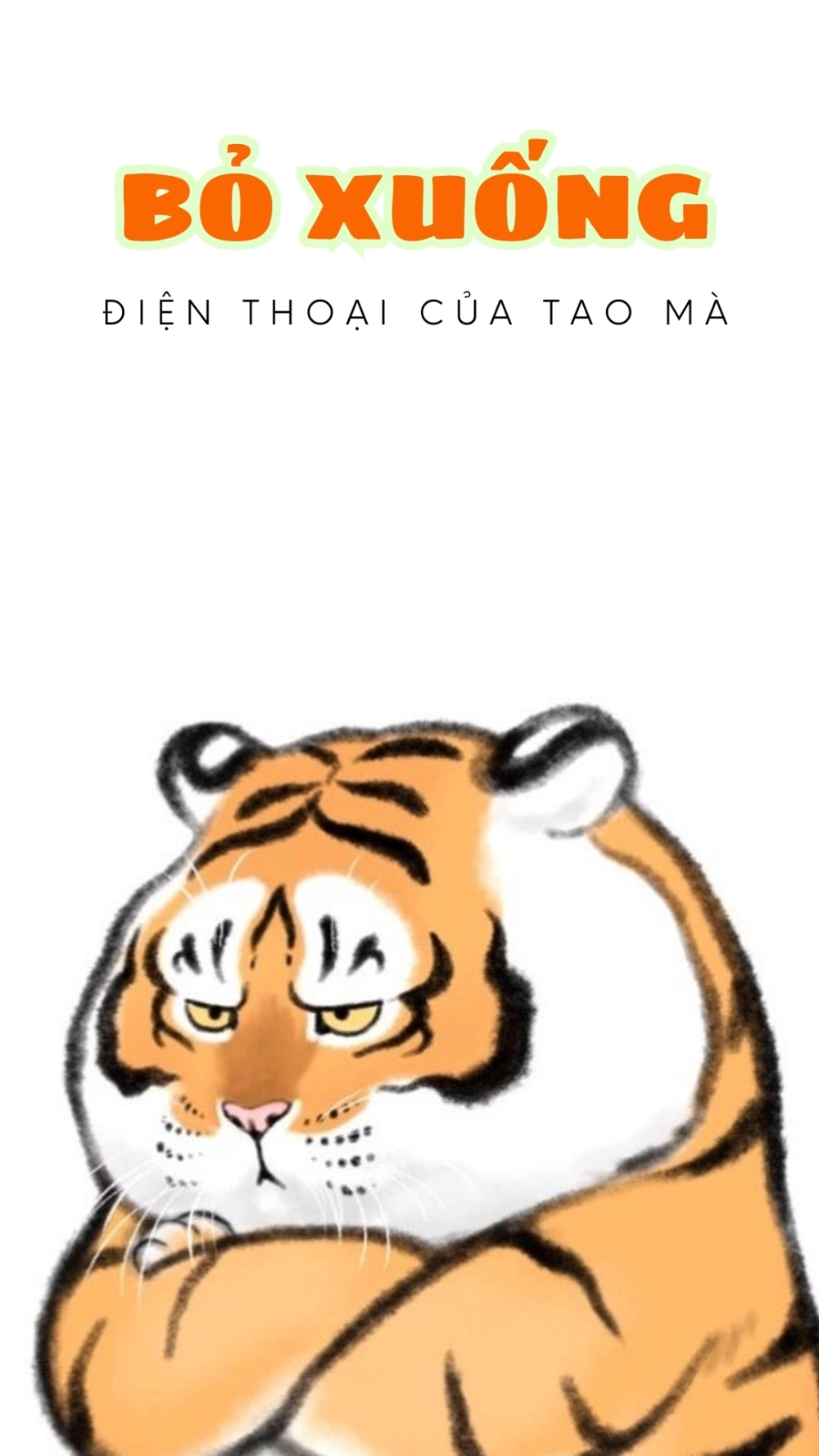 Mẫu hình nền bỏ điện thoại tao xuống cute