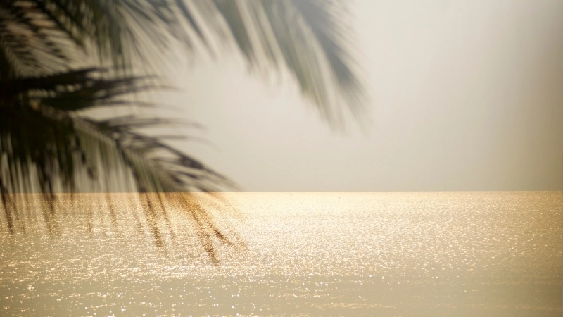 Hình nền máy tính cảnh biển cho không gian làm việc