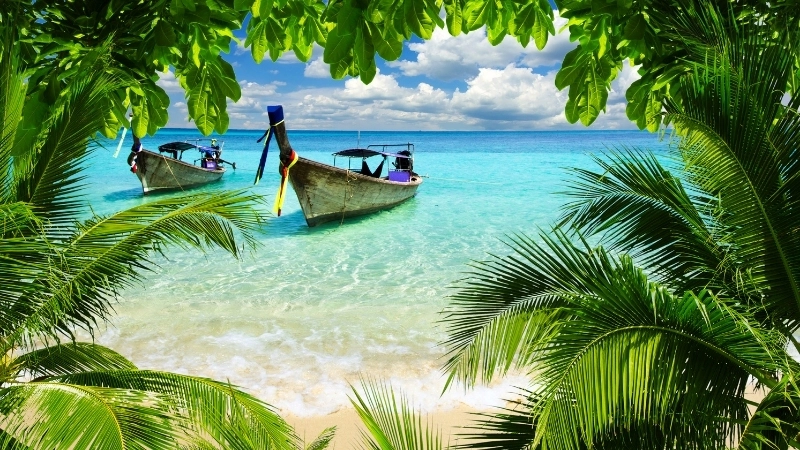 Cảm hứng từ một bức tranh phong cảnh biển