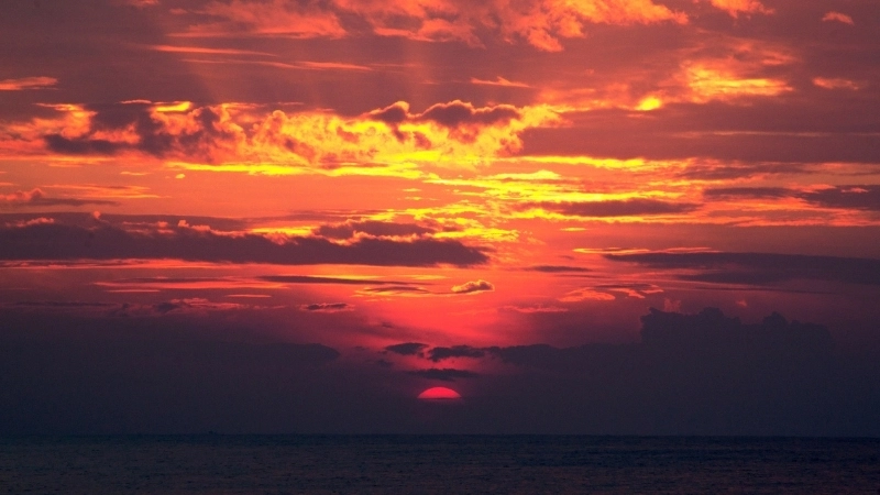 Bức tranh sơn dầu phong cảnh hoàng hôn