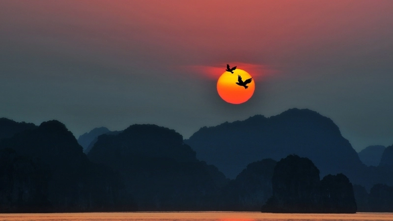 Hình nền cảnh đẹp hoàng hôn và biển