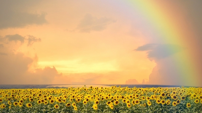 Hình nền màu cầu vồng trừu tượng