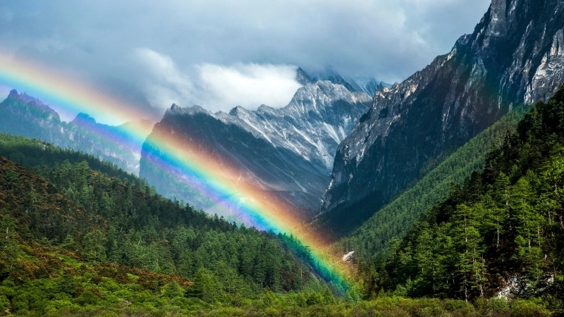 Chiếc nền 7 sắc cầu vồng đơn giản