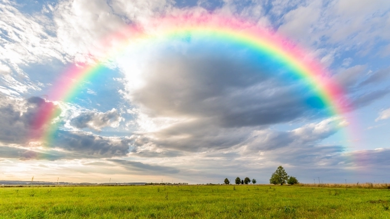 Biểu tượng hy vọng từ cầu vồng hình nền