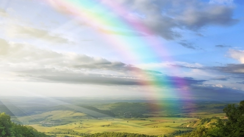 Hình nền bảy sắc cầu vồng cute và unicorn